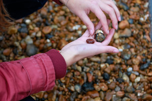 Auf nach England! Auf nach England!