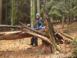 Projektarbeit Oberschule Projektarbeit Oberschule