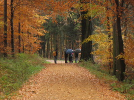 Projektarbeit Oberschule Projektarbeit Oberschule