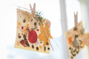 Naturkunst Naturkunst