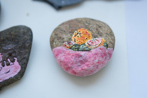 Coloured Stones Coloured Stones