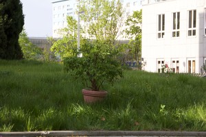 Auftakt zur Umgestaltung des Außengeländes Auftakt zur Umgestaltung des Außengeländes