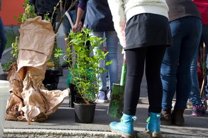 Auftakt zur Umgestaltung des Außengeländes Auftakt zur Umgestaltung des Außengeländes