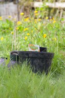 Auftakt zur Umgestaltung des Außengeländes Auftakt zur Umgestaltung des Außengeländes