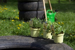 Auftakt zur Umgestaltung des Außengeländes Auftakt zur Umgestaltung des Außengeländes