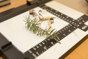 Endlich wieder Kunstprojektwoche