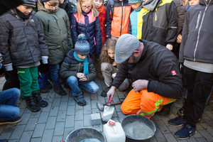 Ein Stolperstein für Alice Glaser
