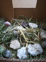 Steinzeitmodelle - Ergebnisse der heimischen Lernzeit Steinzeitmodelle - Ergebnisse der heimischen Lernzeit